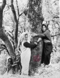 The revolutionary ‘Chipko Movement’ was a game changer.