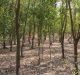 West Bengal’s villagers rethinking sustainability