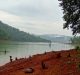 Forest conservation: Two steps forward, four steps back