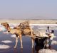 An Ode to Natural Salt