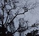 Fatal to Undreamt Reality