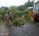 Cyclone Bulbul Causes Havoc in West Bengal and Brings Heavy Rainfall
