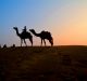 Entour Rajasthan: Padharo Mhare Desh