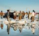 Mining Salt for Living the Life of Saltpan Workers