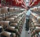 Efforts to enhance procurement from SC/ST entrepreneurs