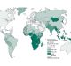 WHO includes an Indian diagnostic test in its global TB programme