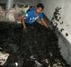 Scientists extract bio fertilizer from human hair