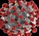 What do we know and what do we need to know about Novel Coronavirus