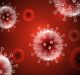 CSIR-CFTRI to provide testing equipment for COVID-19 detection