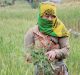 Secure Land Rights Critical for Asia’s Rural Communities Threatened by COVID-19