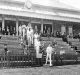 Maharaja Bhupinder Singh and his patronage towards sports in India