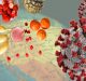 Food and Immunity: Correlation to combat against COVID-19