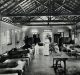 The Epidemic Diseases Act: A Critical Assessment