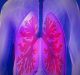 Scientists to culture novel coronavirus in human lung epithelial cell
