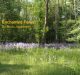 Enchanted Forest