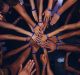 Out of Sight, Out of Mind: Transgender Community and COVID-19