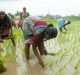 Revoke and Reframe the Draft EIA: Demands MAKAAM