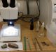 DBT-BIRAC Strengthening Tech Transfer Capabilities in India