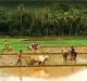 Reforms for Productive Agriculture: Need of the Hour