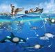 Harmful Algal Blooms Render Ocean Food Chain Less Productive