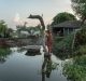 Blearing the Rural: A Macro Picture of Rural Development