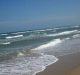Marine Food Web at Risk Due to Microplastics: NCPOR Study