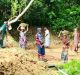 COVID 19: Impact on Life and Livelihood in Rural Areas