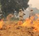 Stubble Burning: Researchers Devise a New Method
