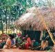 COVID-19 Pandemic: Struggle for Survival of Nomadic Communities