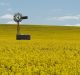 Guide Launched for Assessing Food System Impact