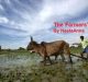 The Farmers’ Plea