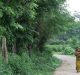 Land Inequality is Rising: Says Study
