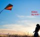 Kites