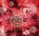 India Take Steps to Accelerate COVID-19 Virus Surveillance