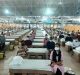 Delhi and COVID-19: Political Will or Concerted Effort?