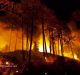 Forest Fire Management in India: An Overview