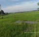 Move Beyond Productivity and Embrace Agroecology: Says NRAS Report