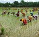 Maximising Impact of Innovations: Role of Science Communication