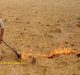 Problems of Stubble Burning: Solutions Galore