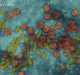High Efficiency Rapid Test for Hepatitis B Diagnosis Developed