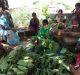 New Farm Acts Violate PESA and Forest Rights of Adivasi Women, Says MAKAAM