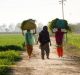 Gender Gaps in Agriculture: Invisible Role of Women