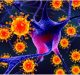 Zika Virus Replication