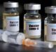 Focus on Management of Adverse Events in COVID-19 Vaccination