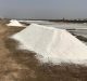 Salt Substitution is Effective to Reduce Blood Pressure in Rural India