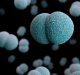 New Tool to Fight Antimicrobial Resistance