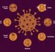 ‘Mulethi’ May Help Alleviate Aggressive Symptoms of COVID-19