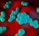 Study Could Help Beat Multi-Drug Resistance