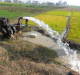CSIR-CSIO and IIT Ropar Team Up to Boost Agricultural and Water Research