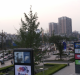 Chengdu: The Spicy Capital of China